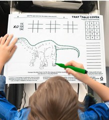 10pcs Airplane Travel Essentials Tray Table Cover Dinosaur Coloring Game For Kid