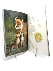 Micato Safaris Travel Brochure Catalog On Safari No. 9 Luxury Africa Trips