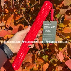 NWT Starbucks 2024 Holiday Red Studded Bling Case & Reusable Straw Kit