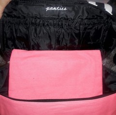 Nwt Victoria&rsquo;s Secret Lingerie Train Case Travel Bag Bra Panties pink stripes