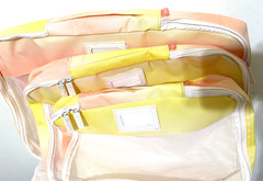 Calpak 3-piece Packing Organizer Travel Set in Sorbet Color Sm Med Lg