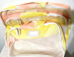 Calpak 3-piece Packing Organizer Travel Set in Sorbet Color Sm Med Lg