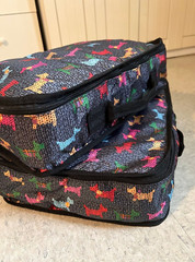 Colorful Terrier Dog Pattern Nylon Zipper Travel Packing Cubes 2 Piece Set