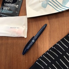 Polaris Travel Pouch Socks Earplugs Eye Blackout Dental Kit Sunday Riley & Pen