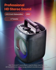 Karaoke Machine for Adults, 30W, 6.5-inch Portable Bluetooth Speaker with 2 Wire