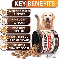 Turkey Tail Mushroom for Dogs – 170 Chews – Mushroom Supplement for Dogs – Lions