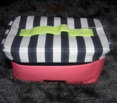 Nwt Victoria&rsquo;s Secret Lingerie Train Case Travel Bag Bra Panties pink stripes