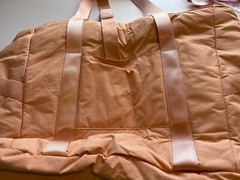 Bagsmart Coral Travel Bag NWT
