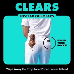 Plant-Based Mint Chill Wipes – 30 Count Extra-Large Flushable Wipes for Adults