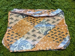 Calpak and Free People Travel Packing Cube Travel Essential