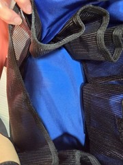 LL Bean Traveler Personal Organizer LLBFM46, Blue with Black Straps, 100% Nylon