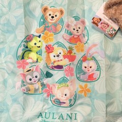 Disney Aulani Duffy And Friends Packable Tote Bag Reuseable Aqua Hawaii Resort