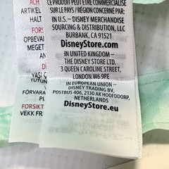 Disney Aulani Duffy And Friends Packable Tote Bag Reuseable Aqua Hawaii Resort