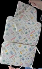 TENDER LOVE + CARRY AIRPLANE HANGING TOILETRY BAG AIRPORT CITY CODE BAGGAGE TAGS