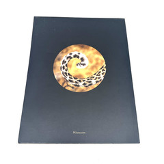 Micato Safaris Travel Brochure Catalog On Safari No. 9 Luxury Africa Trips