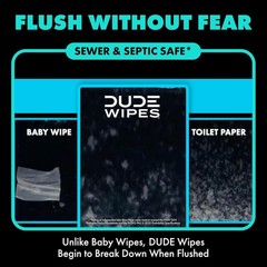 Plant-Based Mint Chill Wipes – 30 Count Extra-Large Flushable Wipes for Adults