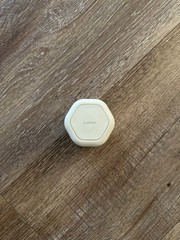 Cadence Medium Capsule In Color Sand With Lotion Label