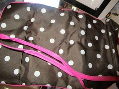 Pottery Barn Teen travel beauty roll coffee pink dots New