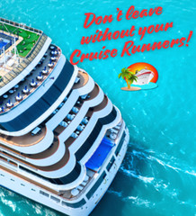 Cruise Ship Flask Kit Rum Runner Alcohol Liquor Smuggle Sneak Booze Bags Plastic