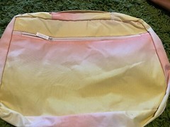 Calpak and Free People Travel Packing Cube Travel Essential