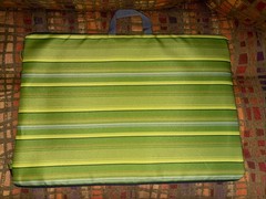 Eagle Creek Pack–It System Multicolor Green Striped Fabric Print NWOT