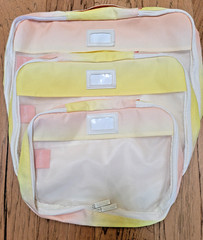 Calpak 3-piece Packing Organizer Travel Cube Set in Sorbet Color Sm Med Lg