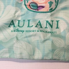 Disney Aulani Duffy And Friends Packable Tote Bag Reuseable Aqua Hawaii Resort