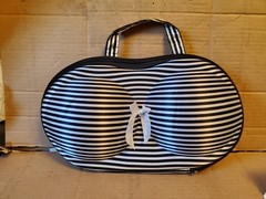 Bra Travel Case Black White Satin Stripe Lingerie Protector Molded Box w/strap