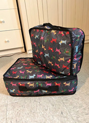 Colorful Terrier Dog Pattern Nylon Zipper Travel Packing Cubes 2 Piece Set