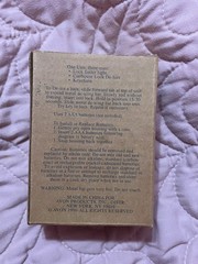 Never Used 1996 Avon Lifestyle Solutions Keychain Lock De-Icer With Key Light