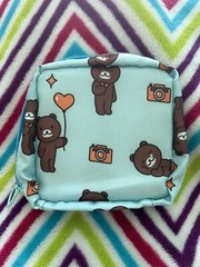 Mini Travel Pouch With Cute Brown Bears, Ballon’s, And Camera Prints