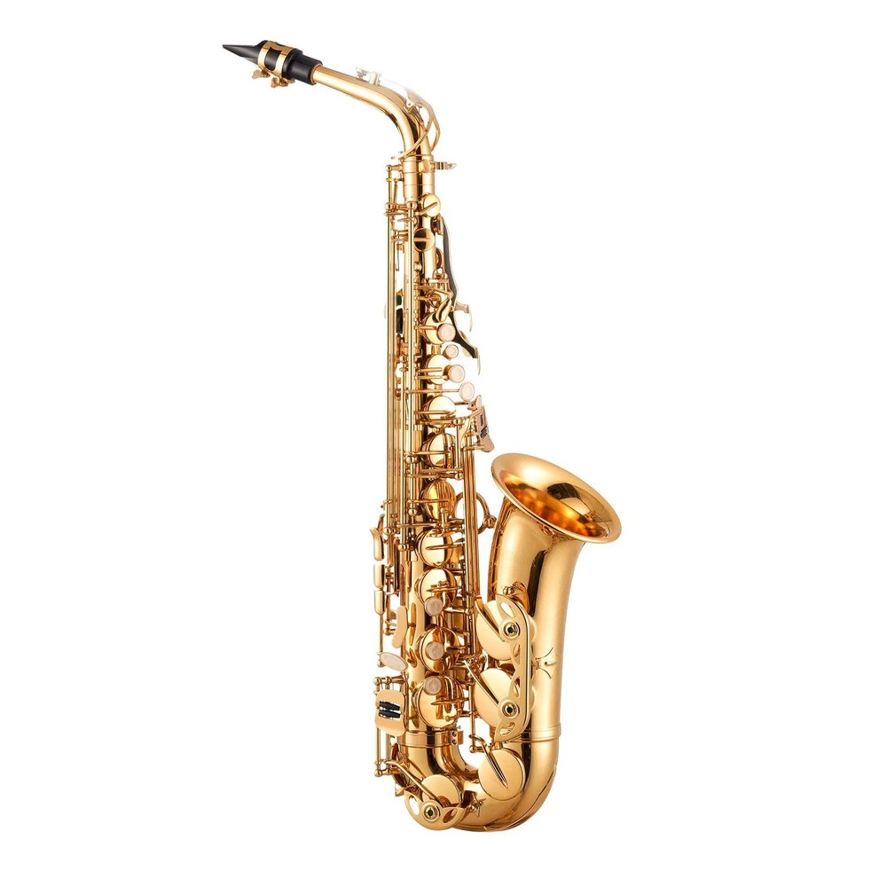 Alto Saxophone, E Flat, Brass Saxophone Beginner Kit with Carrying Case, Mouthpi