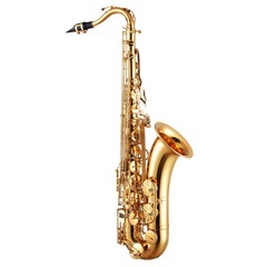 Tenor Saxophone, B Flat, Professional Brass Saxophone Beginner Kit with Carryin
