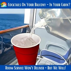 Cruise Flask Kit Runners Rum Sneak Smuggle Alcohol Liquor Booze Bags Plastic