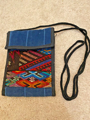 Passport Crossbody Organizer Bag Purse money, credit cards coins pics papers