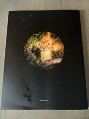 Micato Safaris Travel Brochure Catalog African Adventure 60 Years 2026